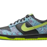 Dunk Low Acid Wash (GS) 0002