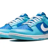 Dunk Low Argon 0001