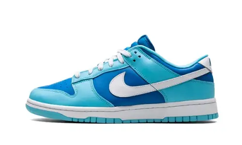 Dunk Low Argon 0002.webp
