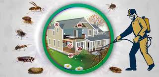 Pest Control Services in Delhi.jpg