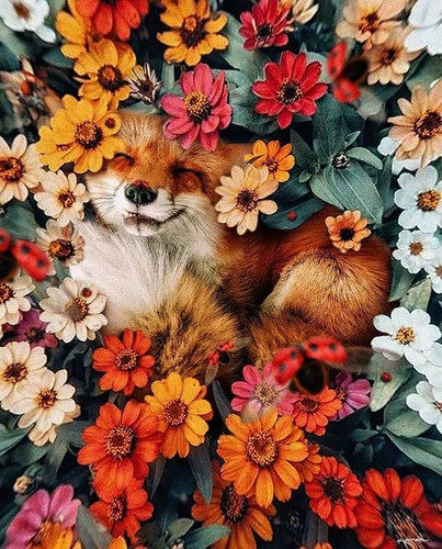 0723D3C2 115B 4529 94E4 8FDCFD6A69EB.jpg