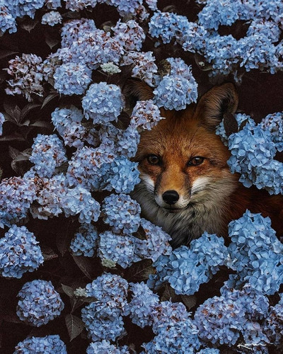 A88C3177 8DFC 429F A714 80E5E7322123.jpg