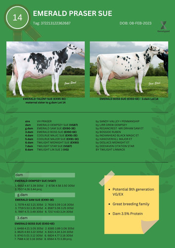 Emerald Praser Sue Lot 14.jpg