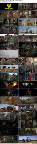 The.Green.Berets.1968.BluRay.1080p.TrueHD.1.0.x265.10bit BeiTai preview.jpg