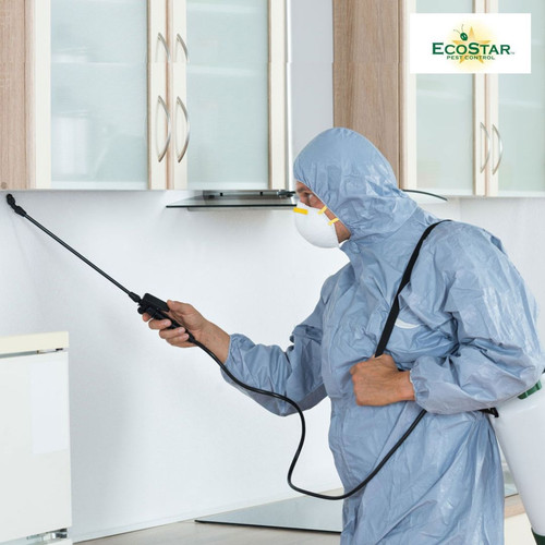Pest Control Richardson.jpg