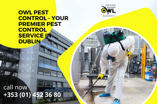 Owl Pest Control - Your Premier Pest Control Service in Dublin.png