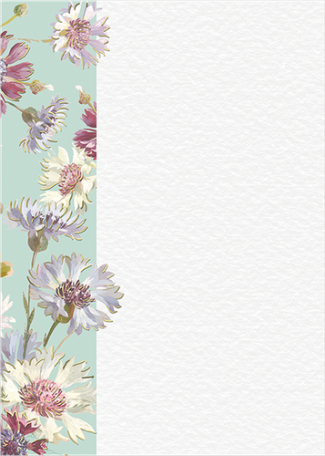 Untitled 2.png