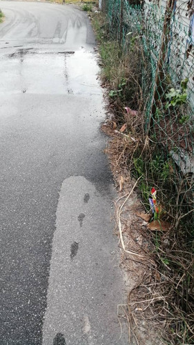 WhatsApp Image 2023 04 21 at 8.38.55 AM.jpg