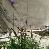 img ۲۰۲۳۰۴۱۵ ۰۹۴۱۵۴ zpz5