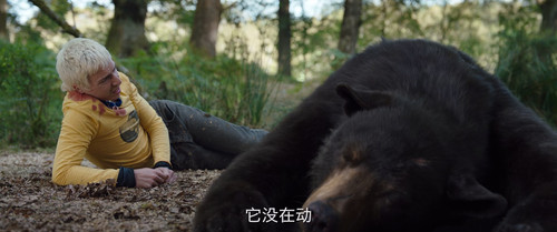 12 Cocaine pad 92282.jpg