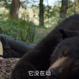 12 Cocaine pad 92282