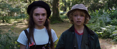 12 Cocaine pad 33323.jpg