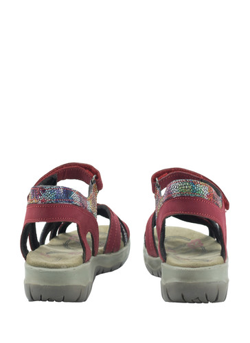 29013 4 PhotoRoom.jpg