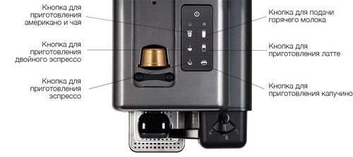 баннер с кнопками.jpg