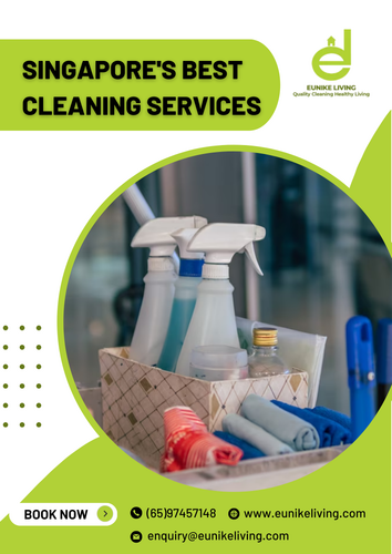 Singapore's Best Cleaning Services.png