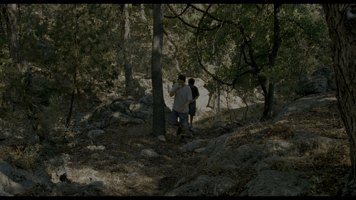 Boyhood.2014.UHD.BluRay.REMUX.2160p.HEVC.DTS HD.MA5.1 HDS.mkv 20230412 193347.895.png