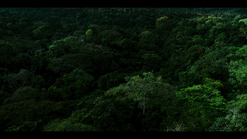 17f5363aa8f9.png