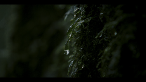 d90611b02625.png