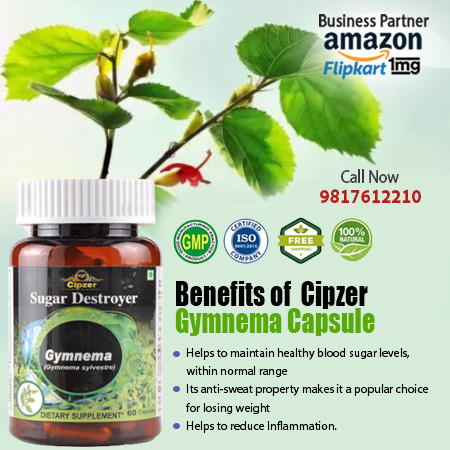 Gymnema Capsule.jpg