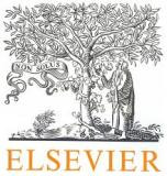 elsevier.jpg