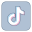 icons8 tiktok office l 32.png