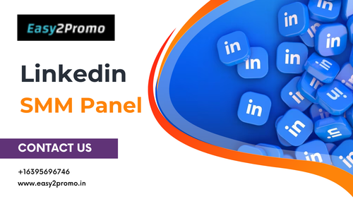 Linkedin SMM Panel.png
