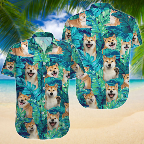 Main PDH012111A26.jpg