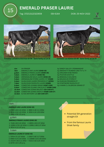 Emerald Praser Laurie Lot 15 png.png