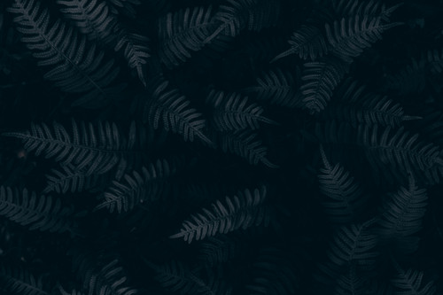background.jpg