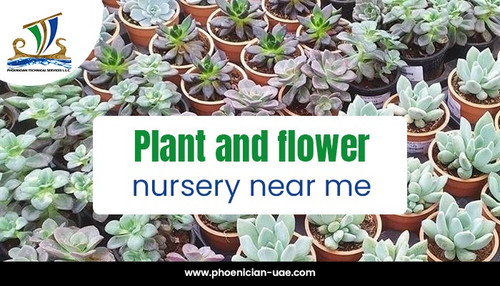 Plant and flower nursery near me.jpg