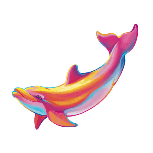 Rainbow Dolphin raw (1).jpg