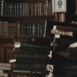 d9413c51e8b86161213defcb48222cbc.gif