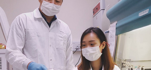 Antibiotics Online A Boon to Cure Bacterial Infections.jpg
