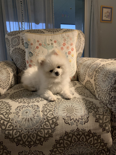 91E4125B 3FF0 409A 91D6 F8B47BC67C21.jpg