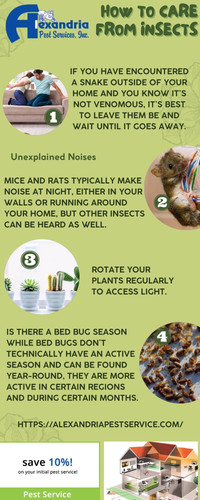 How to care from insects.jpg