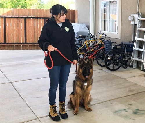 Dog Trainers Kaysville.jpg