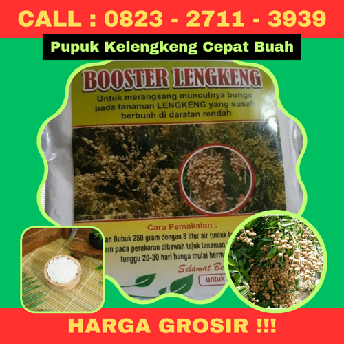 HARGA GROSIR! CALL 0823-2711-3939 Jual Pupuk Kelengkeng Cepat Buah.png