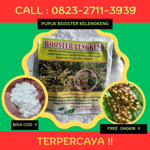 TERPERCAYA! CALL 0823-2711-3939 Jual Pupuk Kelengkeng Merah.png