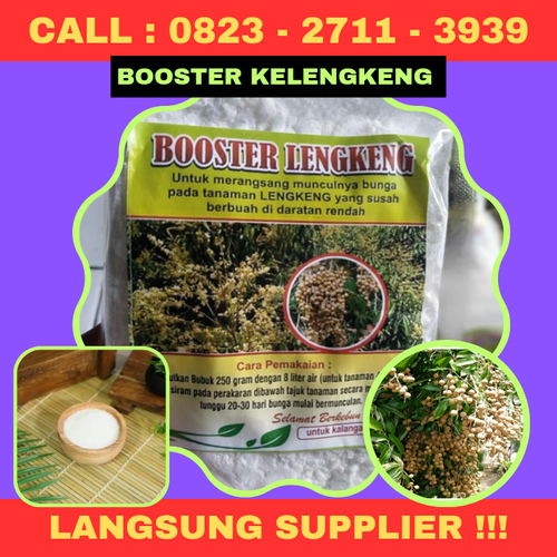 LANGSUNG SUPPLIER! CALL 0823-2711-3939 Jual Pupuk Kelengkeng Cepat Berbuah.png