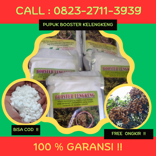100% GARANSI! CALL 0823-2711-3939 Jual Pupuk Kelengkeng Supaya Cepat Berbuah.png