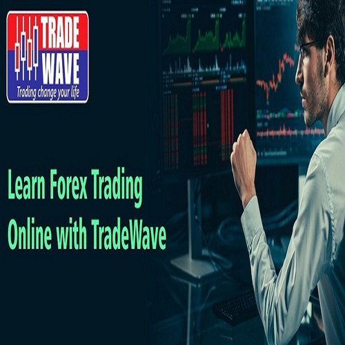 Forex trading with Pro Trader.jpg