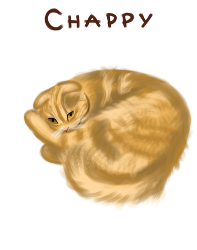 Untitled8 20230418111708.png