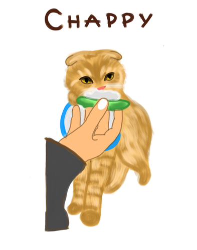 Untitled8 20230418110512.png