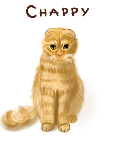 Untitled8 20230418111406.png