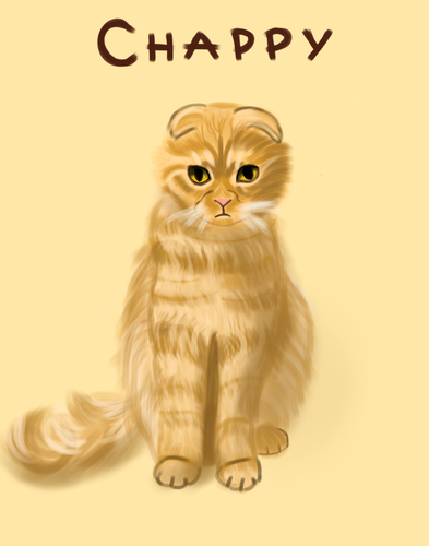 Untitled8 20230418111353.png