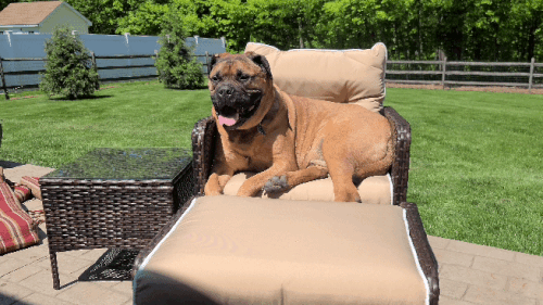 20210515 114142 1.gif