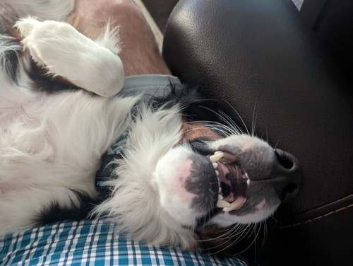 PXL 20230418 135029014