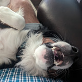 PXL 20230418 135029014