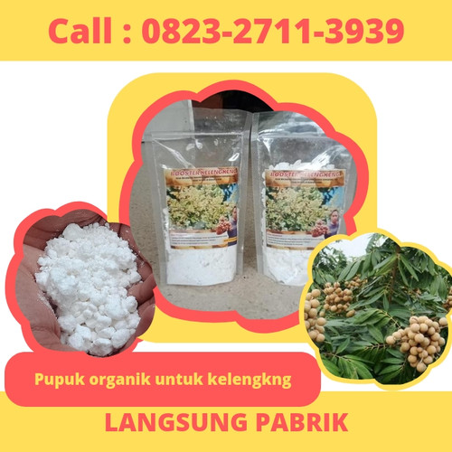 LANGSUNG PABRIK! CALL 0823-2711-3939 Jual Pupuk Organik Untuk Kelengkeng.jpg