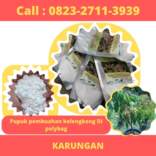 KARUNGAN! CALL 0823-2711-3939 Bapak Haji Toufik Jual Pupuk Pembuahan Kelengkeng Di Polybag.jpg